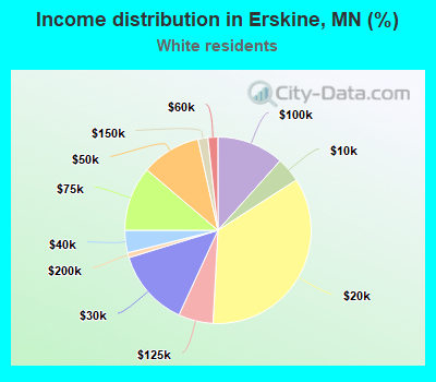 Income distribution in Erskine, MN (%)