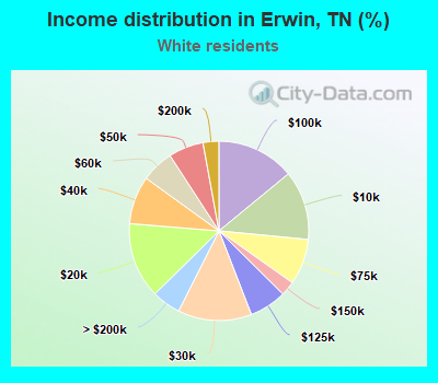 Income distribution in Erwin, TN (%)