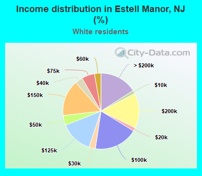 Income distribution in Estell Manor, NJ (%)