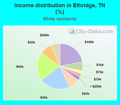Income distribution in Ethridge, TN (%)