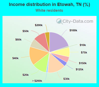 Income distribution in Etowah, TN (%)
