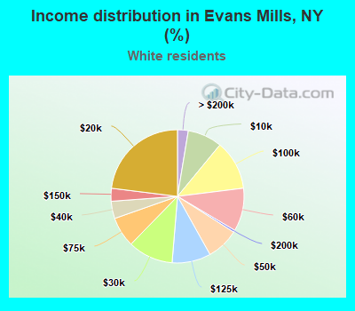 Income distribution in Evans Mills, NY (%)