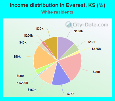 Income distribution in Everest, KS (%)