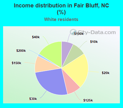 Income distribution in Fair Bluff, NC (%)