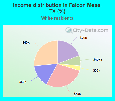 Income distribution in Falcon Mesa, TX (%)