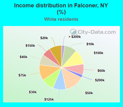 Income distribution in Falconer, NY (%)