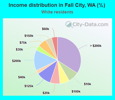 Income distribution in Fall City, WA (%)