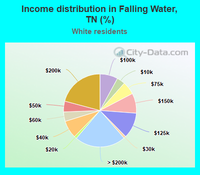 Income distribution in Falling Water, TN (%)