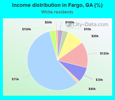 Income distribution in Fargo, GA (%)