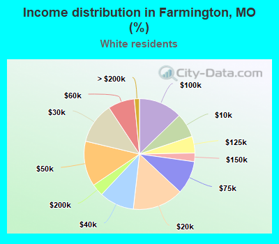 Income distribution in Farmington, MO (%)