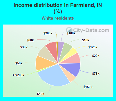 Income distribution in Farmland, IN (%)