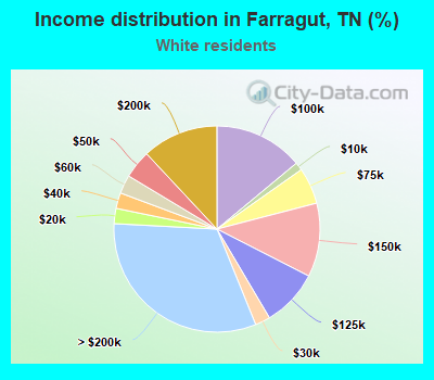 Income distribution in Farragut, TN (%)