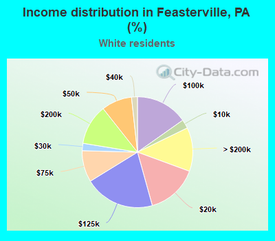 Income distribution in Feasterville, PA (%)