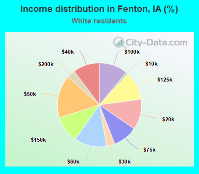 Income distribution in Fenton, IA (%)