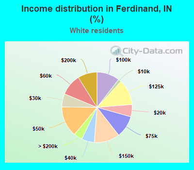 Income distribution in Ferdinand, IN (%)