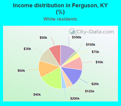 Income distribution in Ferguson, KY (%)