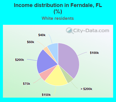 Income distribution in Ferndale, FL (%)