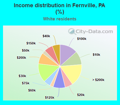 Income distribution in Fernville, PA (%)
