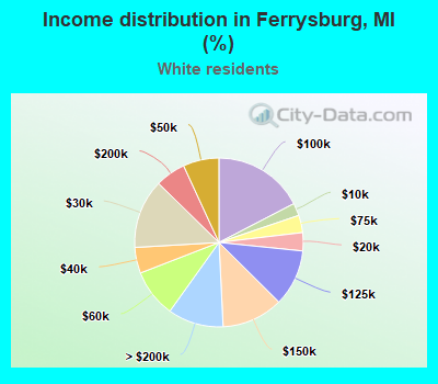 Income distribution in Ferrysburg, MI (%)