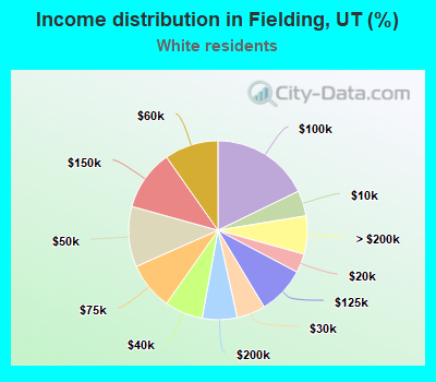Income distribution in Fielding, UT (%)