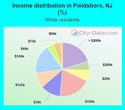 Income distribution in Fieldsboro, NJ (%)