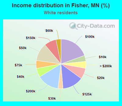 Income distribution in Fisher, MN (%)