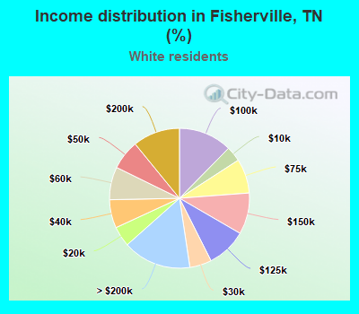 Income distribution in Fisherville, TN (%)