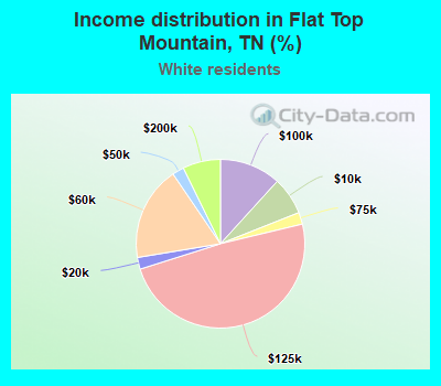 Income distribution in Flat Top Mountain, TN (%)