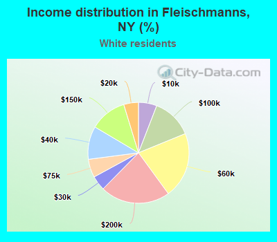 Income distribution in Fleischmanns, NY (%)