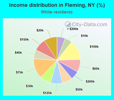 Income distribution in Fleming, NY (%)