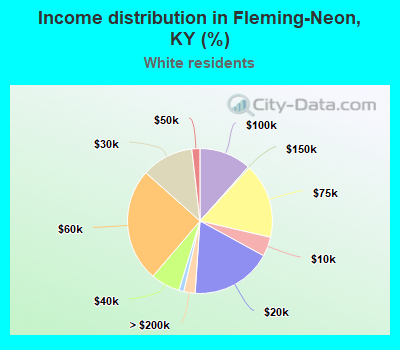 Income distribution in Fleming-Neon, KY (%)