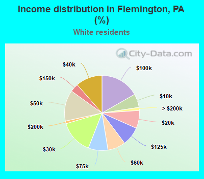 Income distribution in Flemington, PA (%)