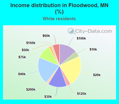 Income distribution in Floodwood, MN (%)