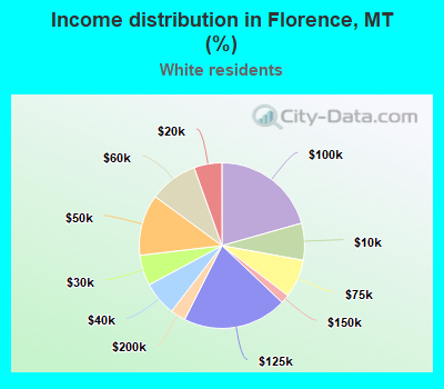 Income distribution in Florence, MT (%)