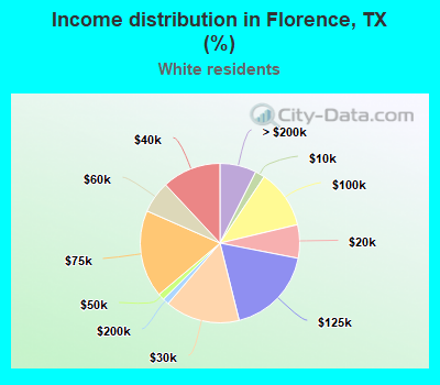 Income distribution in Florence, TX (%)
