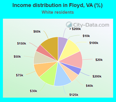 Income distribution in Floyd, VA (%)