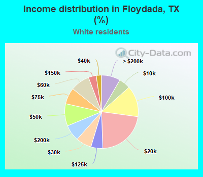 Income distribution in Floydada, TX (%)