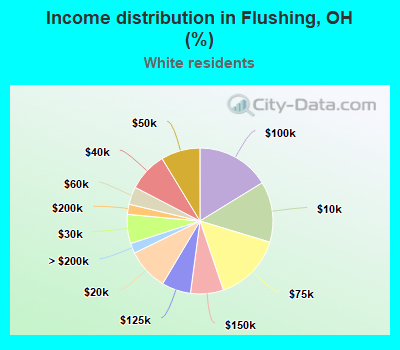 Income distribution in Flushing, OH (%)