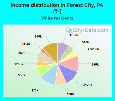 Income distribution in Forest City, PA (%)