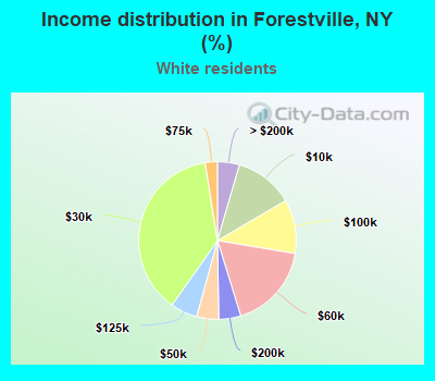 Income distribution in Forestville, NY (%)