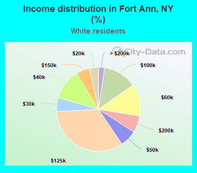 Income distribution in Fort Ann, NY (%)