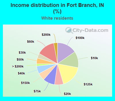 Income distribution in Fort Branch, IN (%)