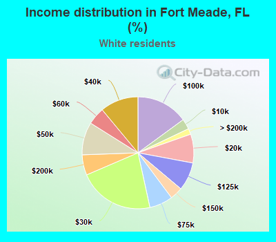 Income distribution in Fort Meade, FL (%)