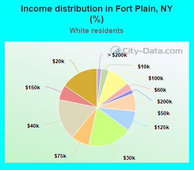 Income distribution in Fort Plain, NY (%)