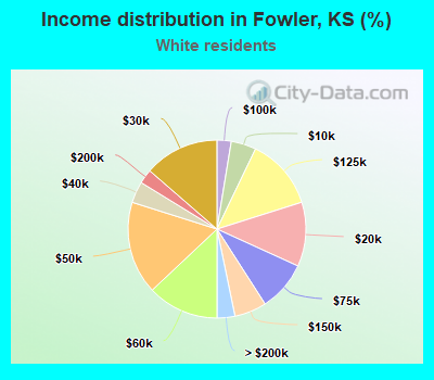 Income distribution in Fowler, KS (%)