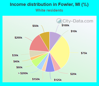 Income distribution in Fowler, MI (%)