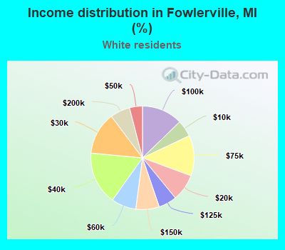 Income distribution in Fowlerville, MI (%)