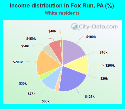 Income distribution in Fox Run, PA (%)