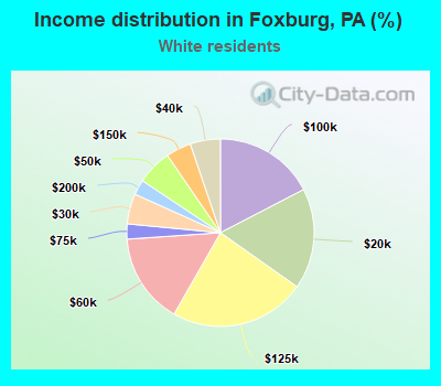 Income distribution in Foxburg, PA (%)