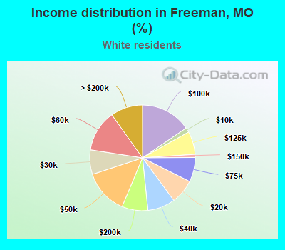 Income distribution in Freeman, MO (%)
